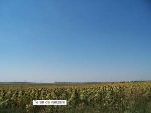 VAND TEREN AGRICOL IN OVIDIU