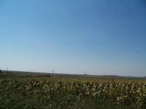 VAND TEREN AGRICOL IN OVIDIU