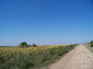 VAND TEREN AGRICOL IN OVIDIU