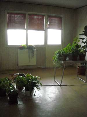 Apartament 3 camere