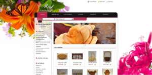 Web design Web design Web design