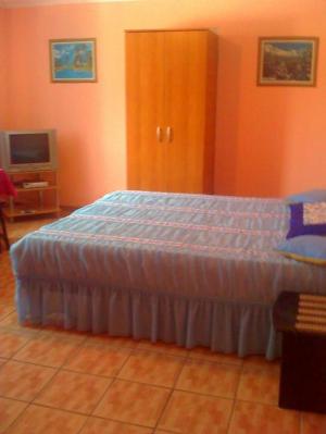 Inchirieri  apartament in Timisoara  Vila Dragan