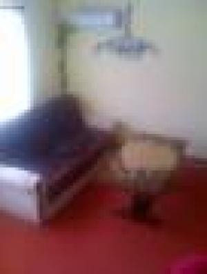 Inchirieri  apartament in Timisoara  Vila Dragan