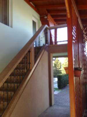 Vand casa cu mansarda, curte, livada, piscina