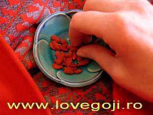 Fructe Goji din Tibet