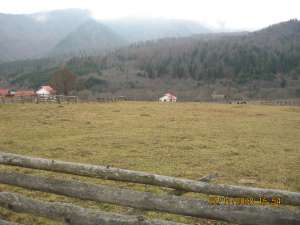 vand teren superb Lepsa zona Potcoava