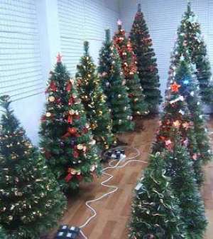 Vindem brazi naturali in ghiveci si artificiali decorati!!!