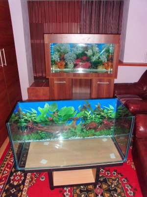 VAND ACVARII CU MOBILIER