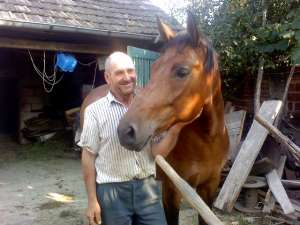 vand urgent iapa frumoasa