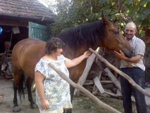 vand urgent iapa frumoasa