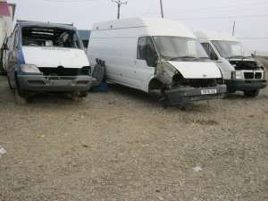 DEZMEMBREZ DUBE MARFA SI PERSOANE