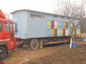 vand pavilion apicol