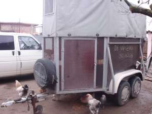 VAND REMORCA DE TRANSPORT CAI SI ANIMALE