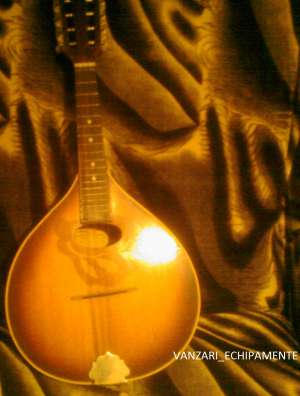 mandolina 1980 reghin colectie