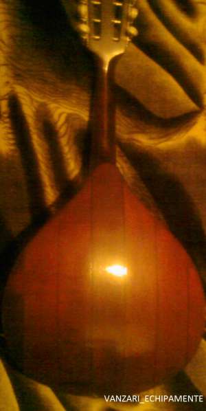 mandolina 1980 reghin colectie