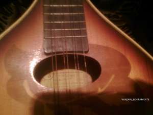 mandolina 1980 reghin colectie