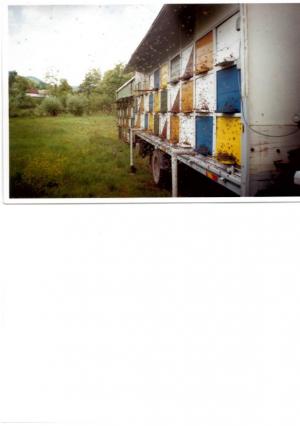 Vand Camion  cu Pavilion de 66 de stupi