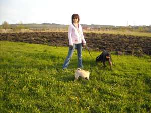 Dog-walking si pet-sitting la Cluj-Napoca