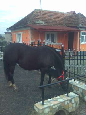 Vand iapa Metis
