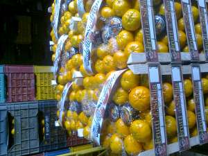 portocale, mandarine si clementine