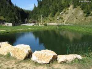 urgent! cabana baisoara 5 camere 32000 eu finisata