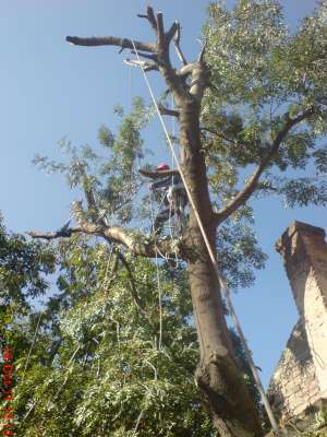 Alpinism utilitar Oradea