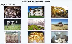 CONSULTANTA FONDURI EUROPENE_FINANTARE NERAMBURSABILA