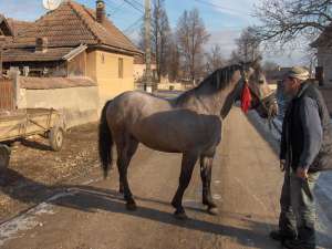 vand manzi