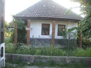 v�nzare