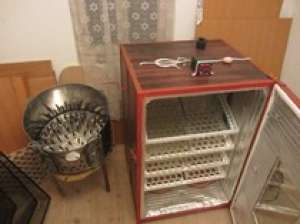 vand incubator 528 oua gaina