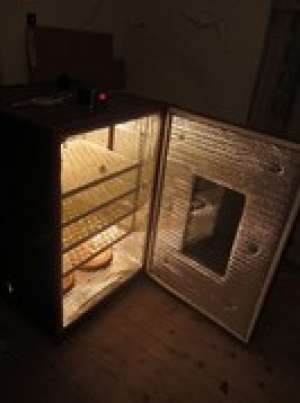 vand incubator 528 oua gaina