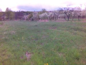 Casa 4 camere Com. Fitionesti (4 km de Panciu)