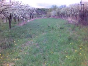 Casa 4 camere Com. Fitionesti (4 km de Panciu)