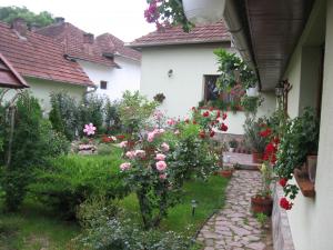 casa de vanzare