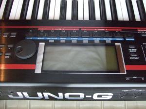 Vand Orga Roland Juno G