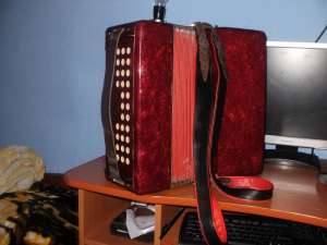 Vand acordeon Sonora.700Ron.