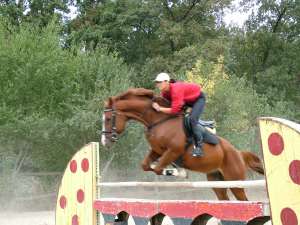 Cal de obstacole