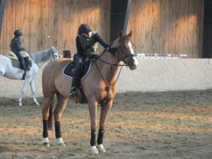 Cal de obstacole