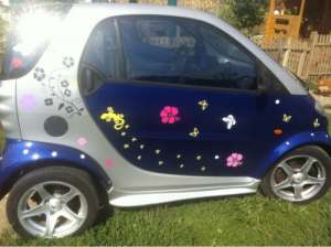 Dezmembrez Smart Fortwo