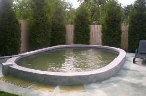 Vand casa cu mansarda,    curte,    livada,    piscina