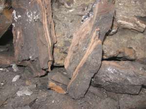 VAND CARBUNI DE FOC (LIGNIT)