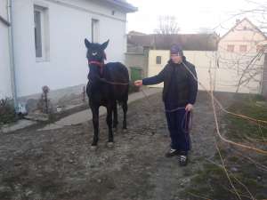 Vand manza neagra
