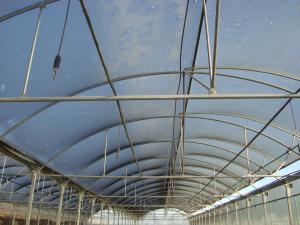 VAND SERA DE 800m2