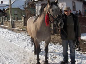 vand manzi