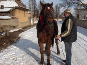 vand manzi