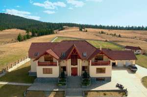 vila covasna de vanzare