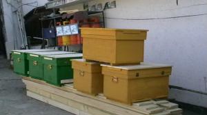 garduri si mobilier de gradina