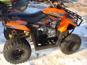 ATV DINLI 802
