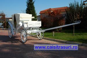 Inchirieri trasuri