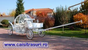 Inchirieri trasuri